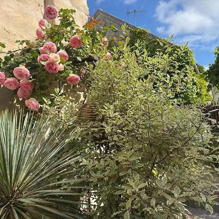 Cocooning - Old Sur Seine * Verneuil-sur-Seine